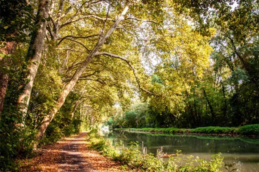 Le Canal du Berry